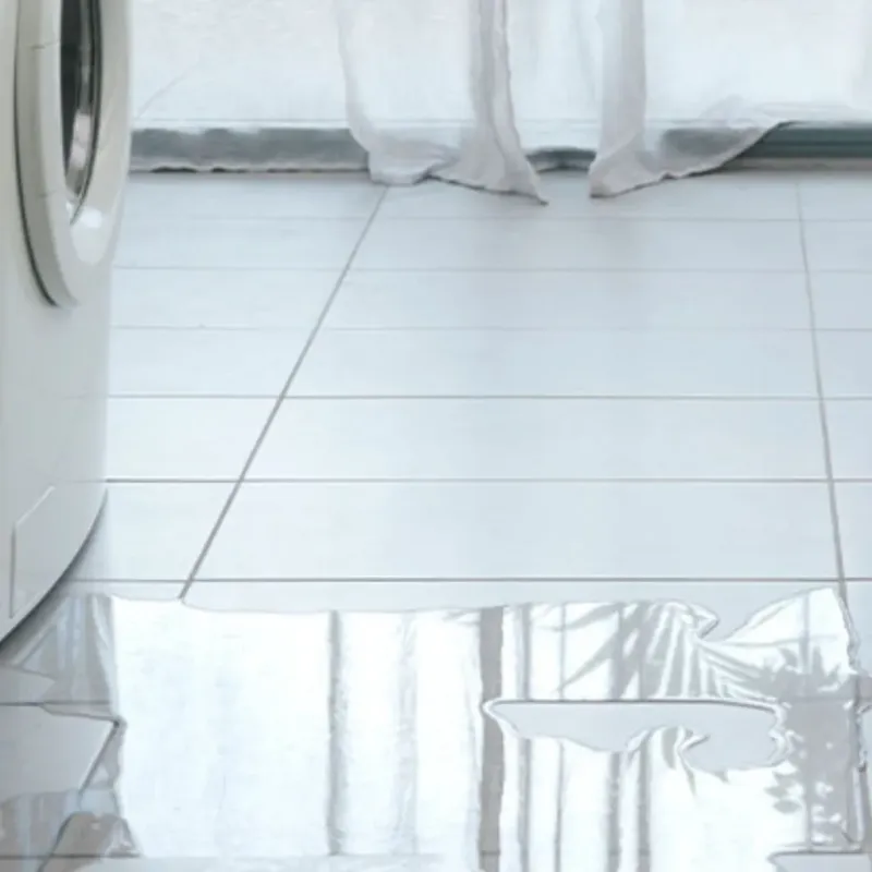 Appliance Leak Cleanup in Tecumseh, MI