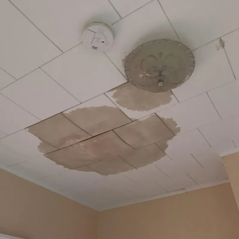 Ceiling Water Damage Repair in Tecumseh, MI