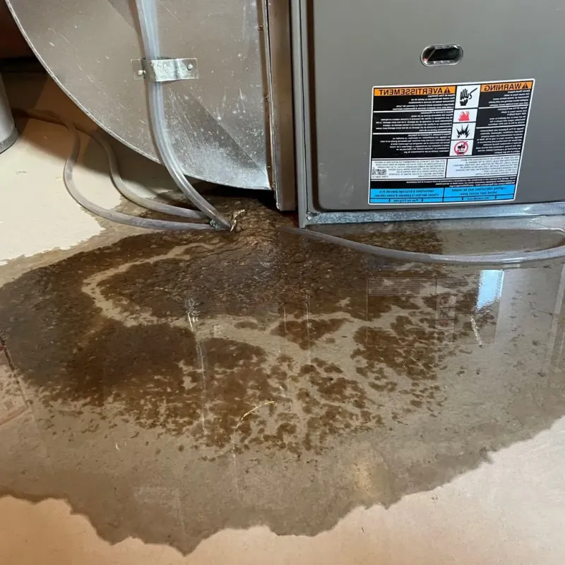 Pipe Burst and Leak Restoration in Tecumseh, MI
