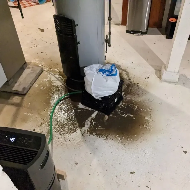 Sewage Backup Cleanup Service in Tecumseh, MI